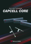 Osaka Soda Capcell Core.pdf